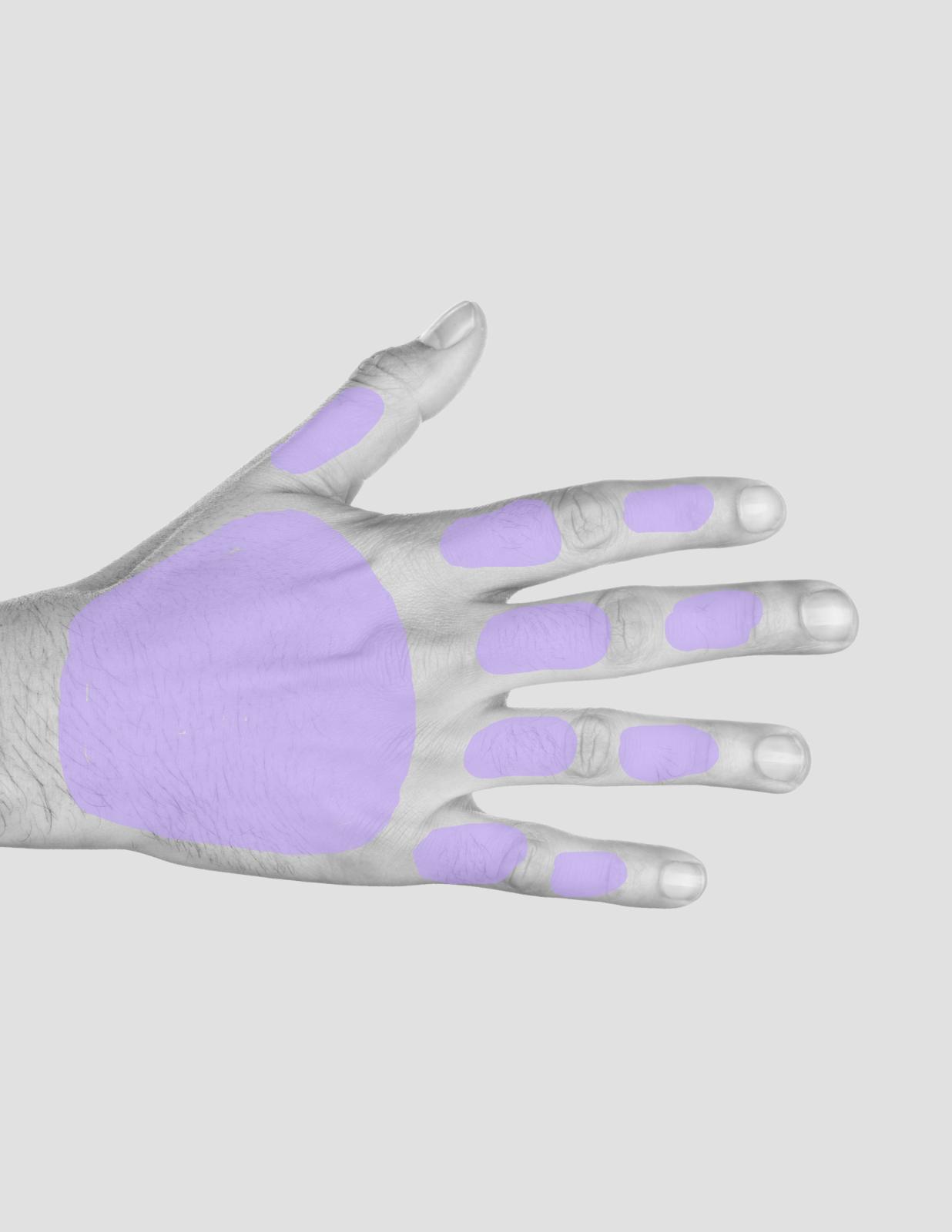 unnamed image